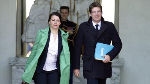 EELV Duflot Canfin Remaniement France Paris