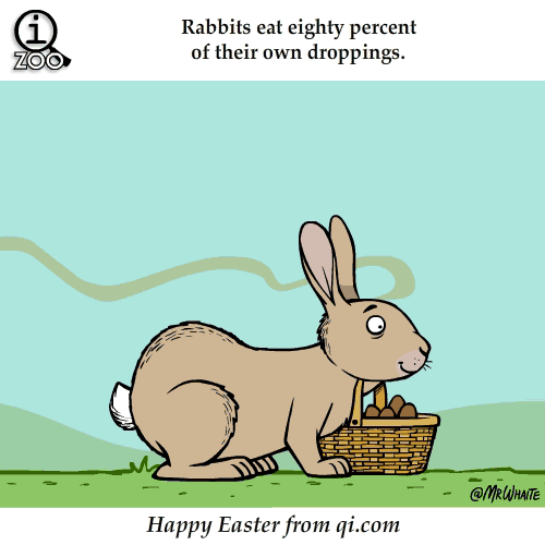 amusing_animated_animal_facts_06