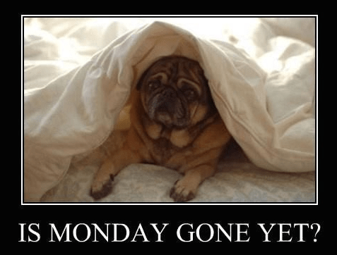 Is Monday Gone Yet ?