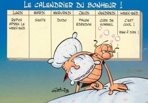 le-calendrier-du-bonheur-selon-gotlib