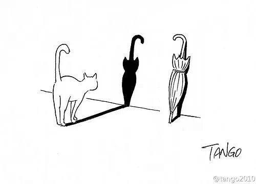 Tango Cat Chat