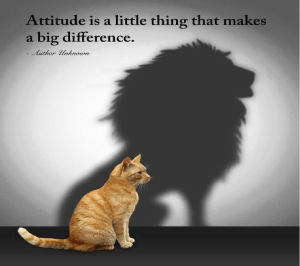Attitude Cat Lion Truth