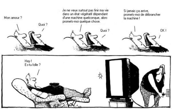 photos-etat-vegetatif