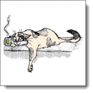 coffee-cat-