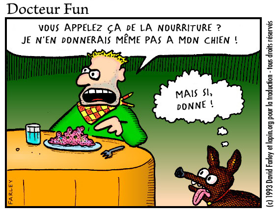 nourriture chien joie humour