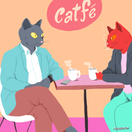 Cats Café Coffee Humour