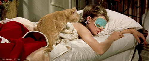 Audrey Hepburn Cat Chat Breakfats at Tiffany's