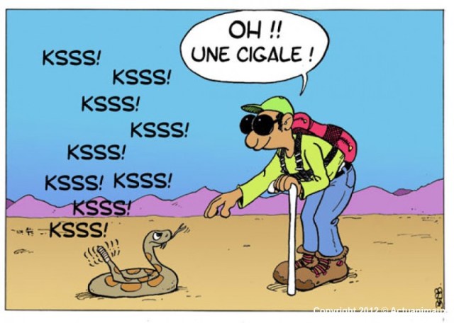 bebb-humour-d-ete_zoom