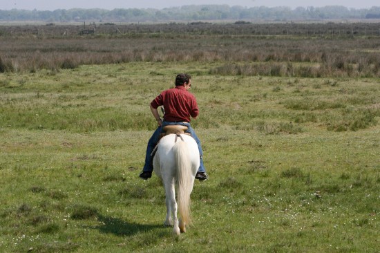 Nicolas Sarkozy France