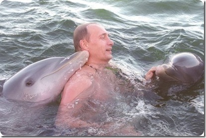 Putin Poutine