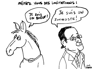 HOLLANDE Canasson Bourrin