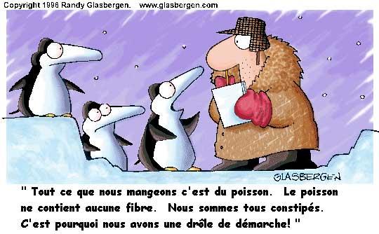 humour_demarche