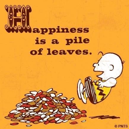 37143-Happiness-Is-A-Pile-Of-Leaves