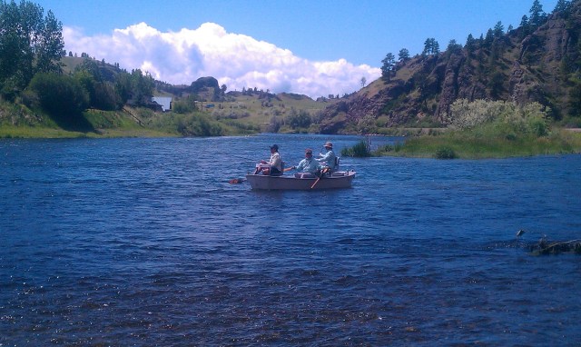 Montana-Dry-Fly-Fishing-Missouri-River-Report