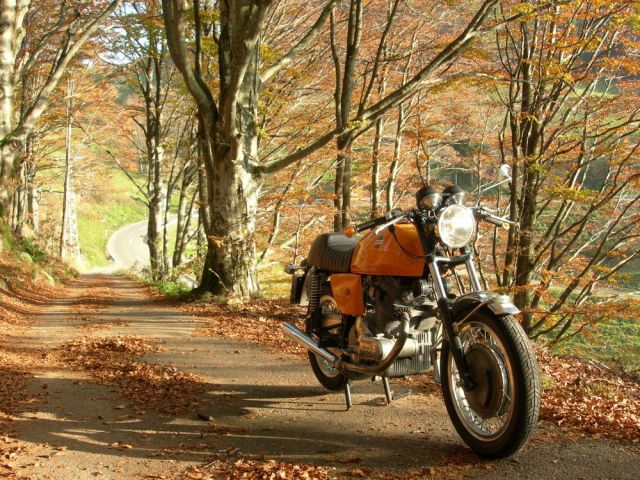 laverda-sf-750-indian-summer