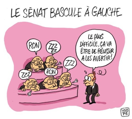 senat-bascule-gauche Ysope