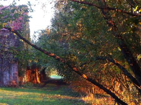 ChateauRenard 4 19 octobre 2014 c Renaud Favier