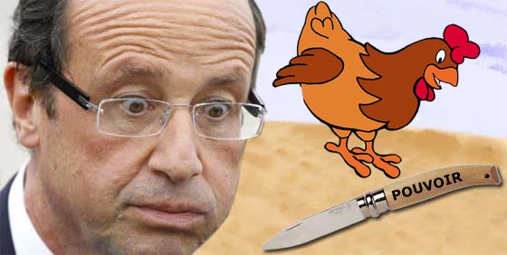 hollande-couteau-poule