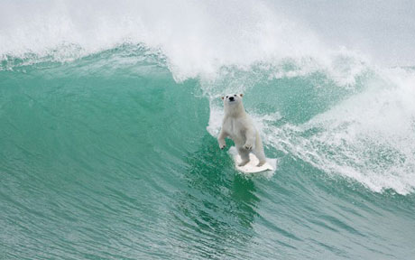 surfing-cornwall_2403478b