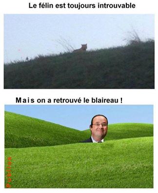 Hollande