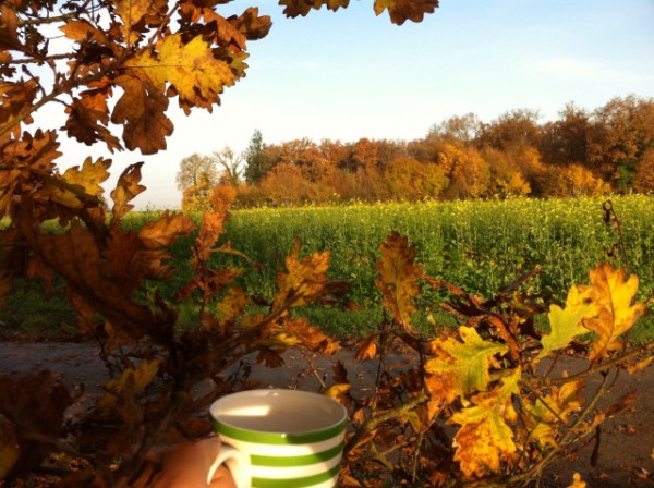 Café Mauclairs 23 novembre 2014 Renaud Favier