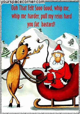 funny christmas pictures614260