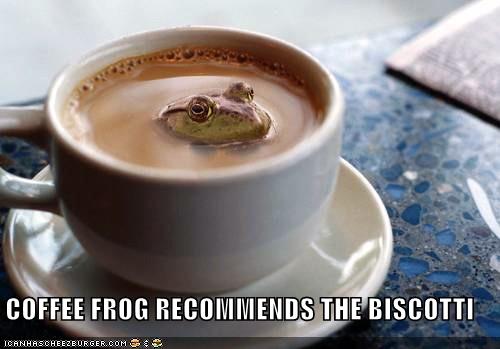 funny-coffee-frog-biscotti