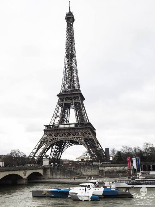 Sea ShepHerd à Paris