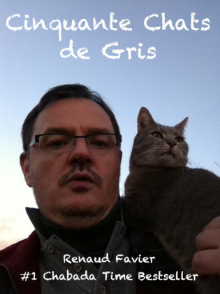 cinquante-chats-de-gris-octobre-2012-renaud-favier1