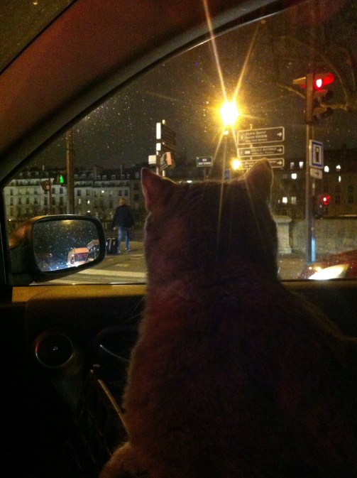 Chabada en route pour le ciné