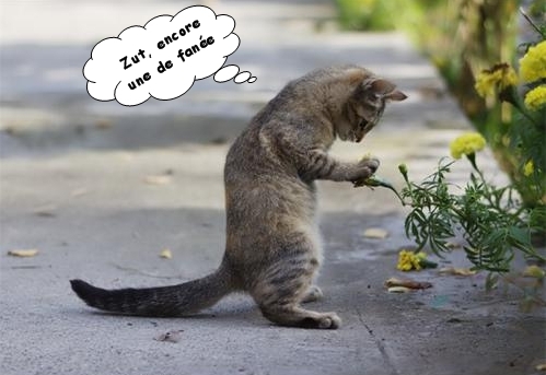 C-est-agacant-ce-manque-d-eau