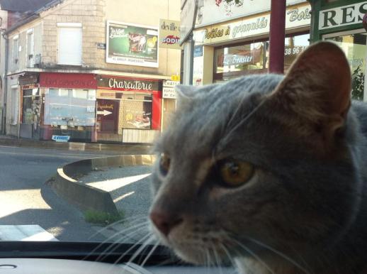 Chabada Dordives 1 novembre 2014 c Renaud Favier