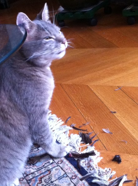 Chabada Paris 27 juin 2013 c Renaud Favier