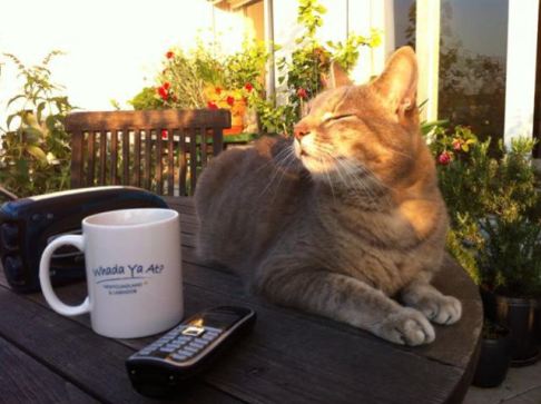 chabada-paris-9-juillet-2013-3-c-renaud-favier