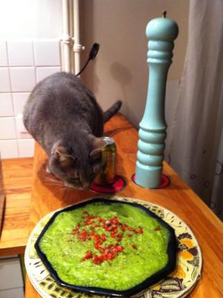 Chabada puree de brocoli et gojis 1 novembre 2013