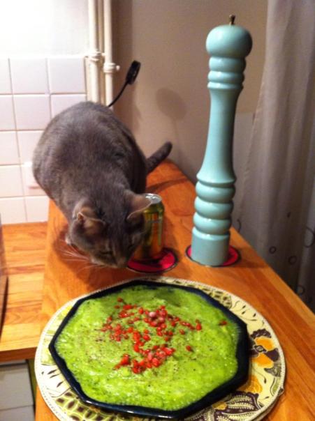 Chabada puree de brocoli et gojis 1 novembre 2013