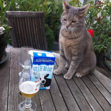 chabada-paris-france-6-aout-2014-c-renaud-favier