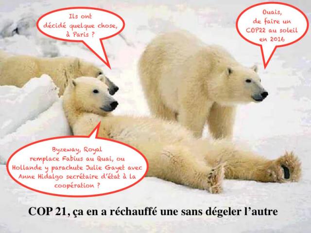 Bilan de COP21 Paris 2015