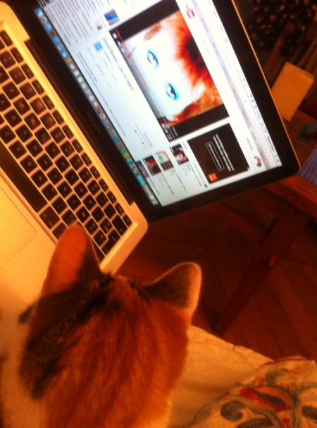 Hortence et Bowie Paris 11 Janvier 2016