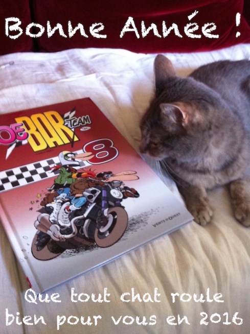 Voeux 2016 Chabada c Renaud Favier Paris