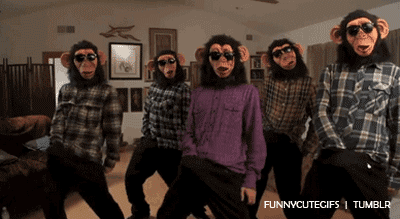 Monkey Primaires 2017 France