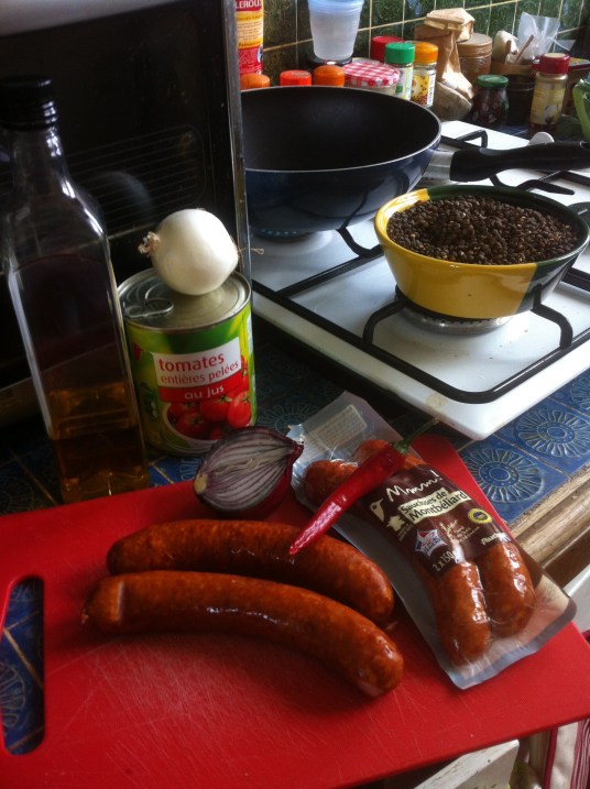 Rougail 1 c Renaud Favier 2016