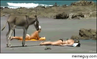 La Plage avec Plaisir