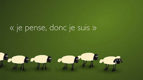 Je pense donc je suis
