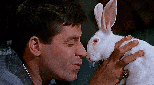 Jerry Lewis and Rabbit